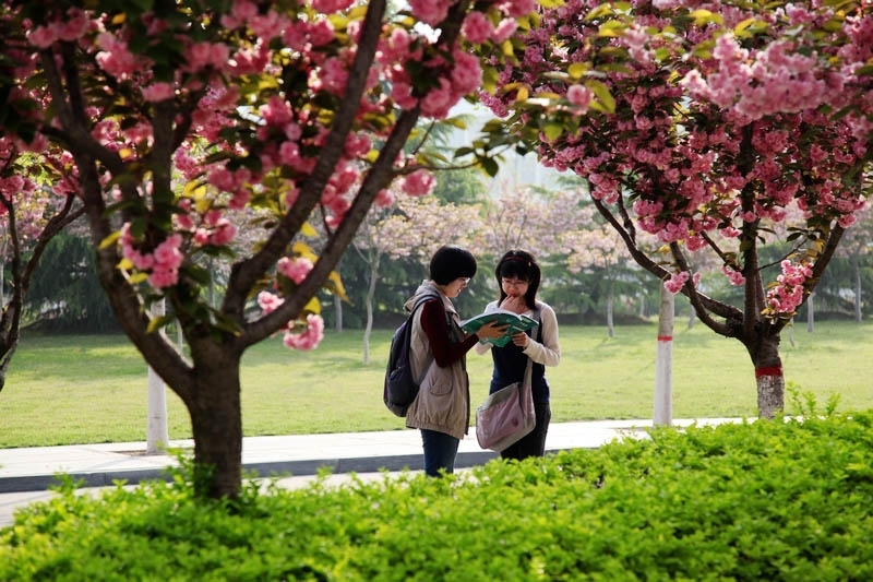 中国石油大学自考本科校园风光