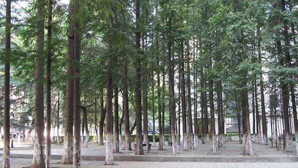 江西师范大学校园风光