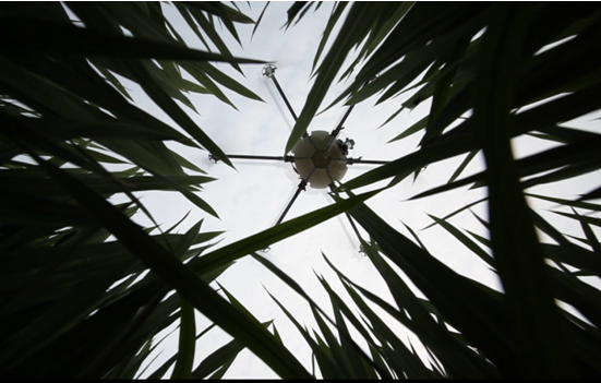 1479973006.png 12.png