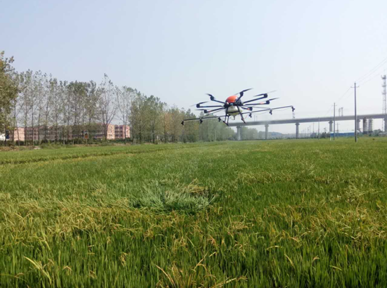 1481022529.png 02.png