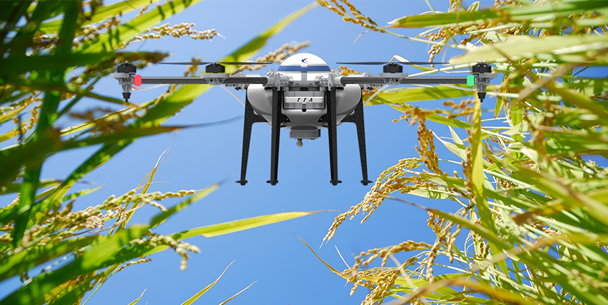 1484126422.png 1.png