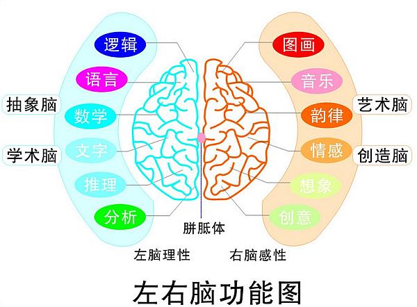 互动吧-全脑学习,开发孩子右脑,提升孩子潜能,轻松提升学习成绩--智灵教育等您!