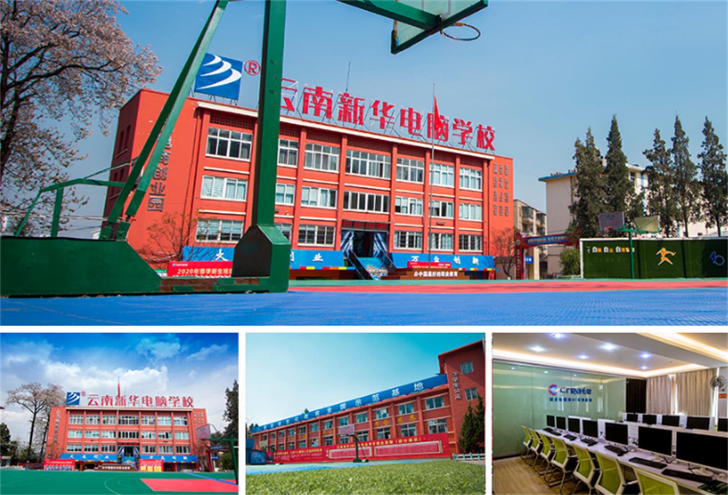 新华.jpg 新华.jpg