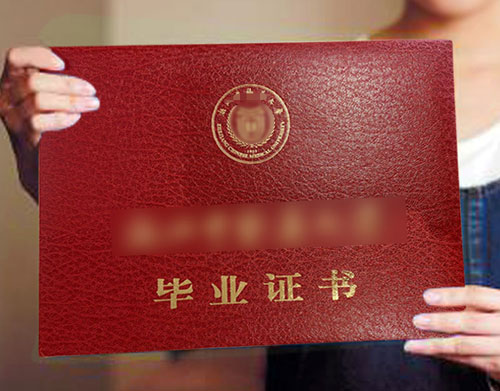 成人高考简单专业