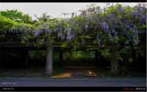 1551075427_6826_thumb_1.jpg 1551075427_6826_thumb_1.jpg